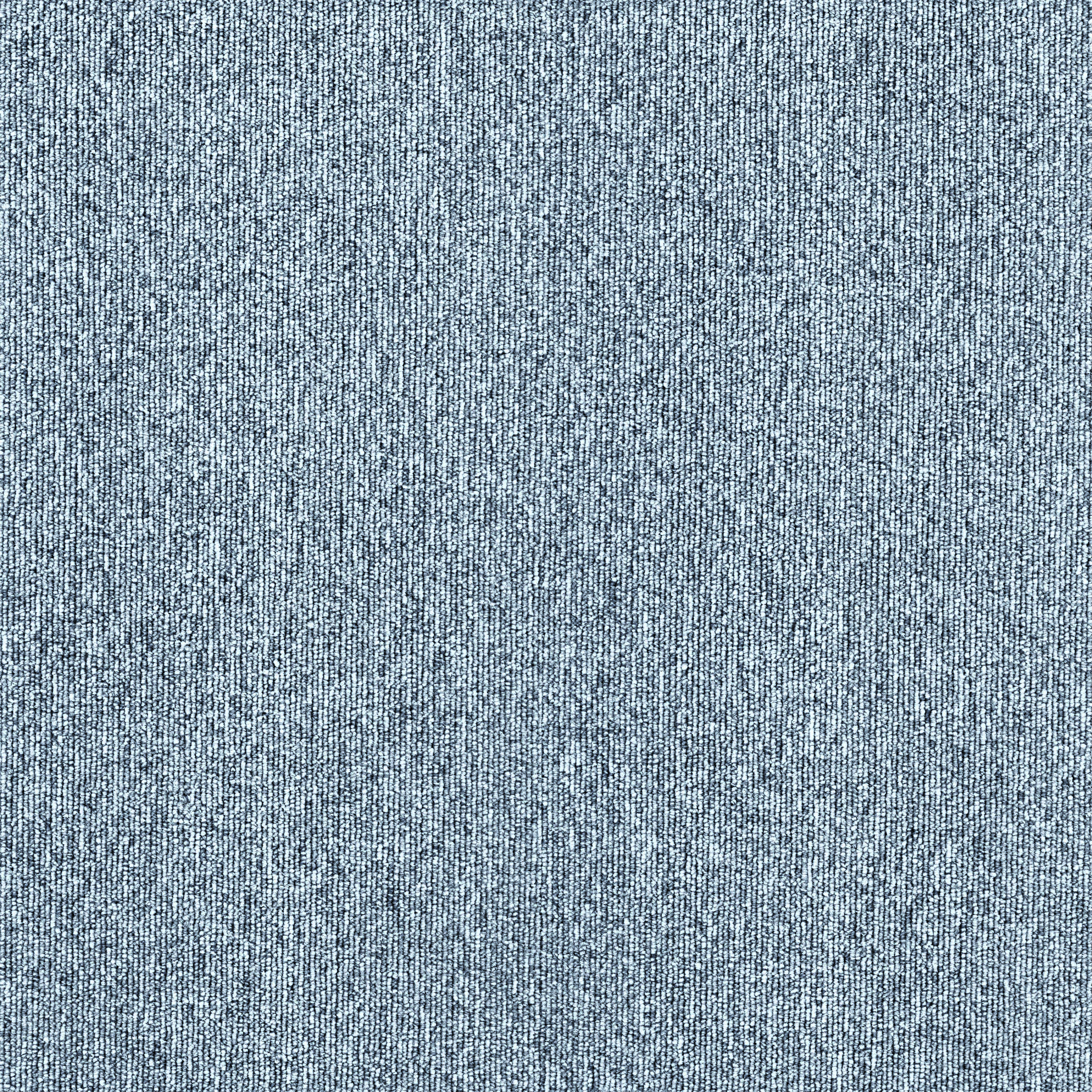 SNP-001.jpg